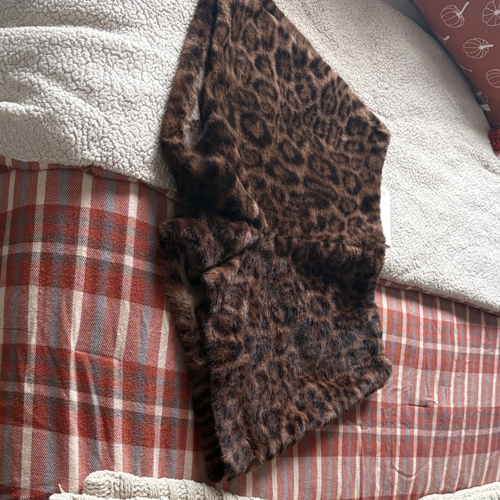Leopard Print Women's Shorts